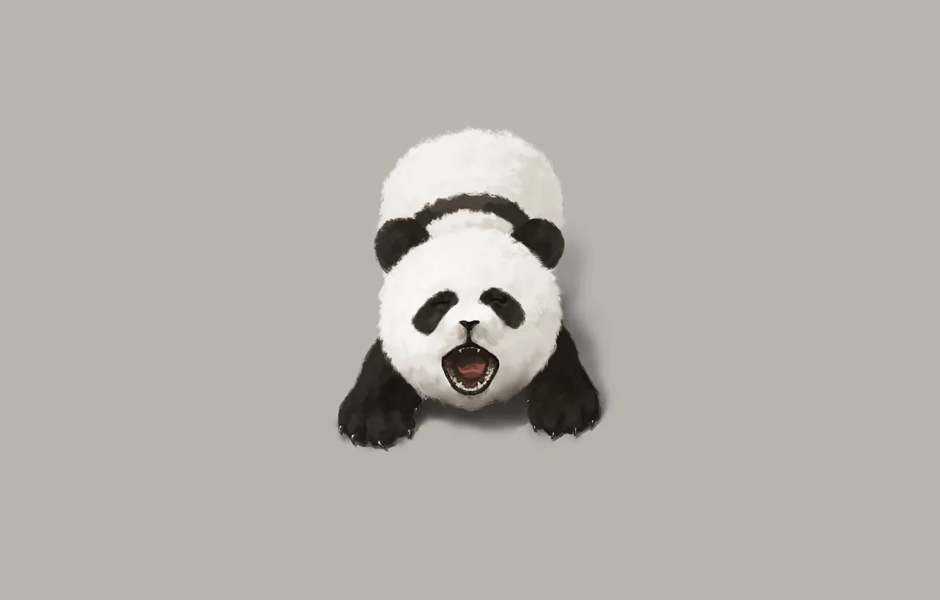 Photo wallpaper Minimalism, Panda, Bear, Grey, Small, Background, Creek, Art