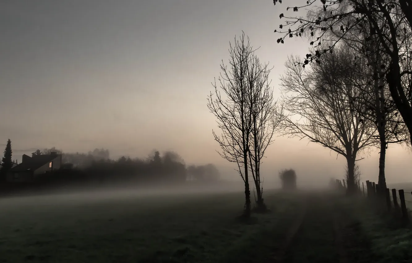 Photo wallpaper road, night, fog