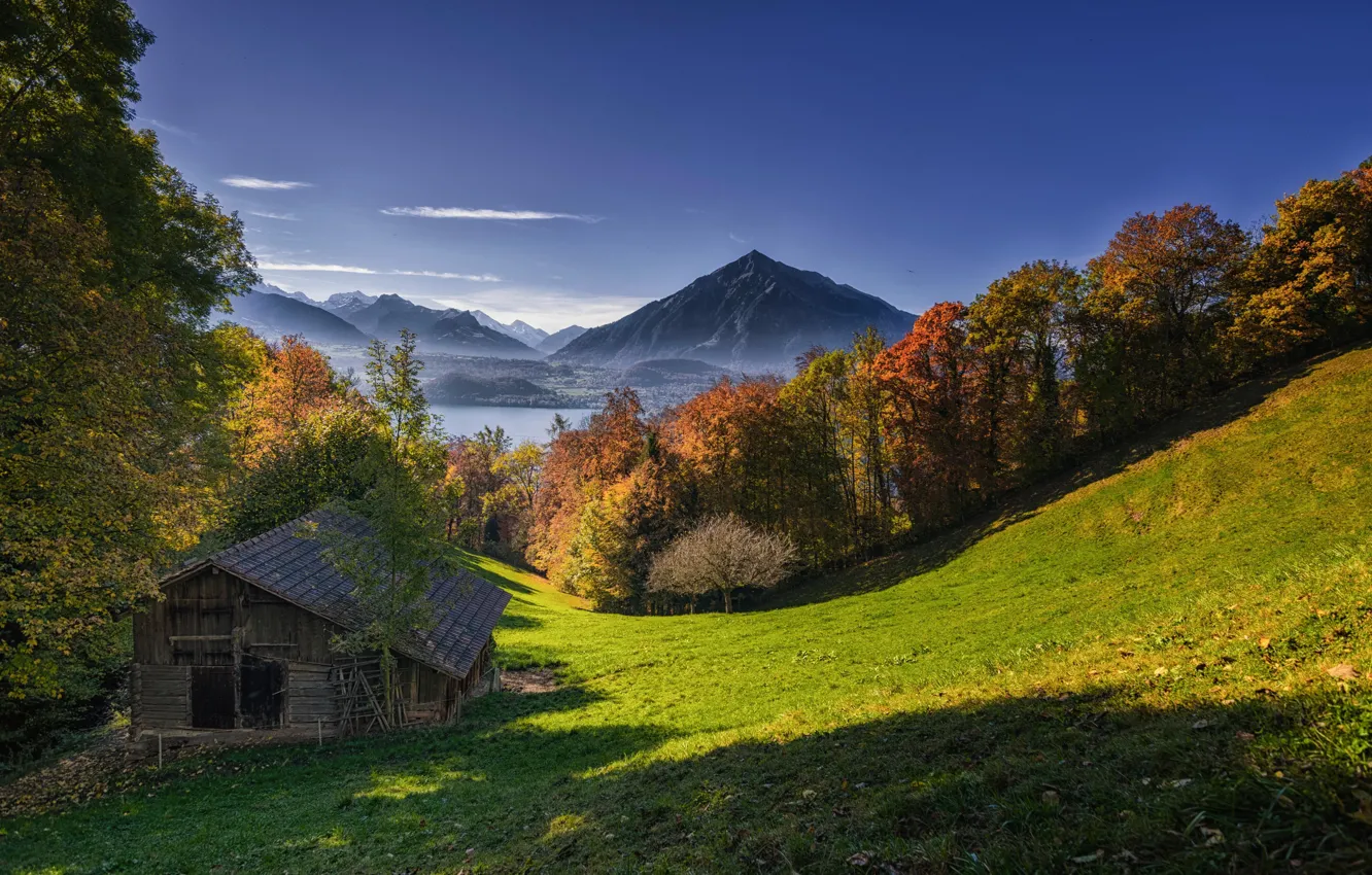 Photo wallpaper autumn, trees, mountains, lake, Switzerland, the barn, Switzerland, Lake Thun