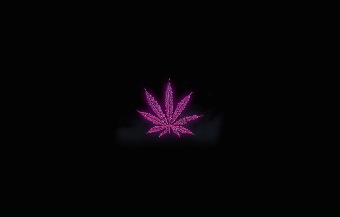 Photo wallpaper smoke, leaves, purple, swag, Bless