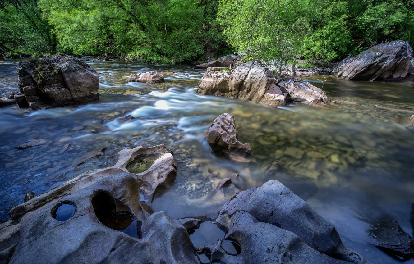 Photo wallpaper forest, stones, river, Wales, Snowdonia