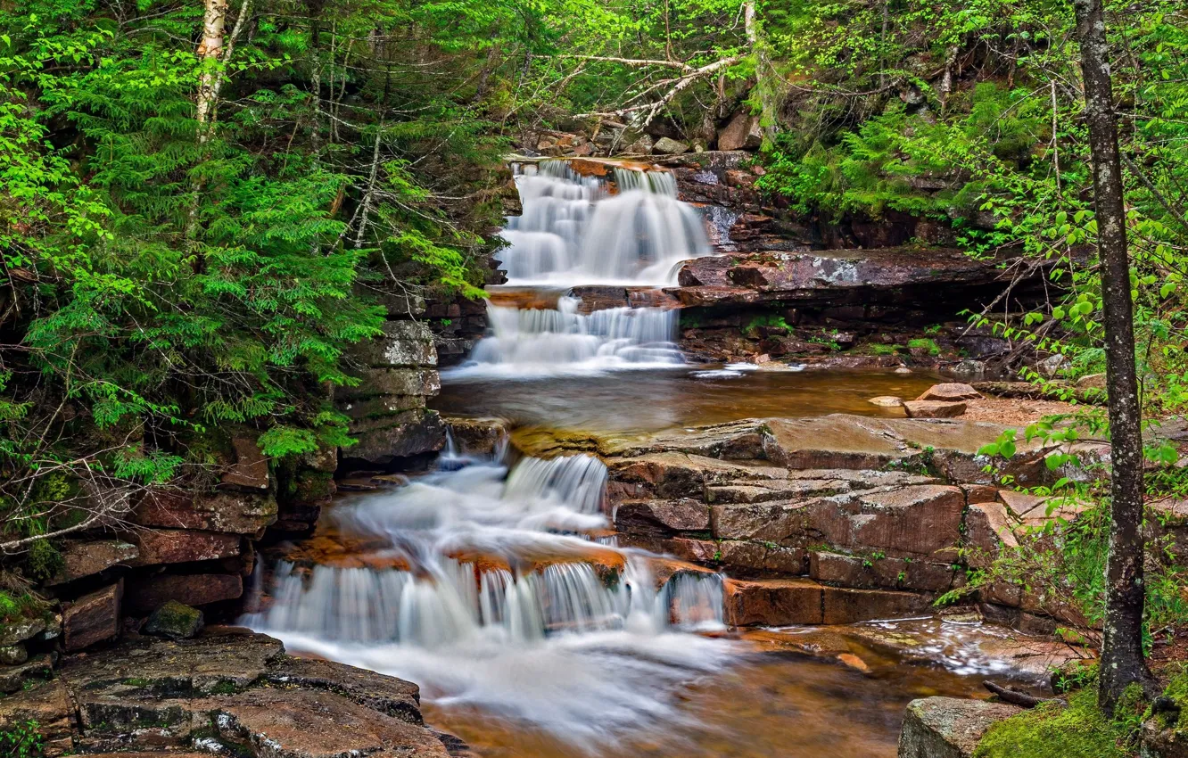 Photo wallpaper Waterfall, Rock, Stage