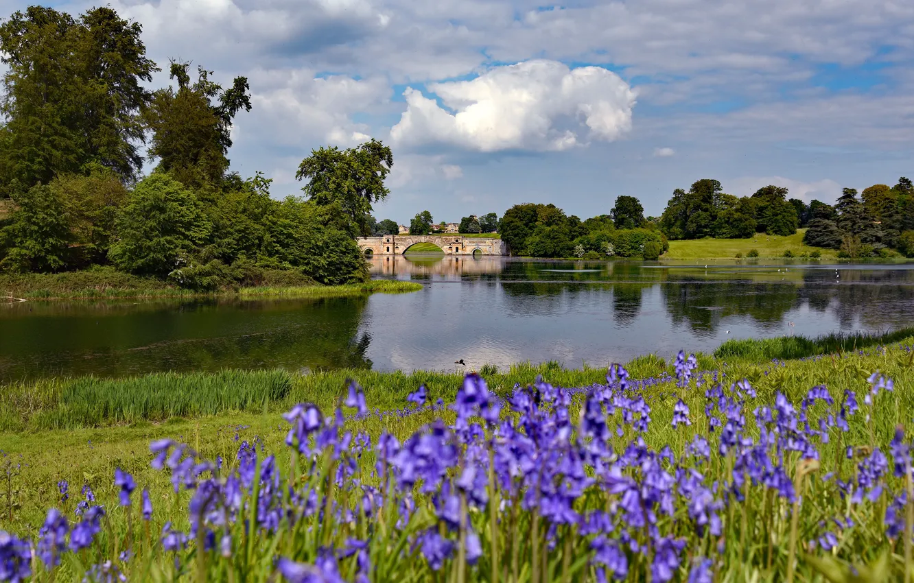 Photo wallpaper greens, summer, clouds, trees, flowers, bridge, reflection, shore