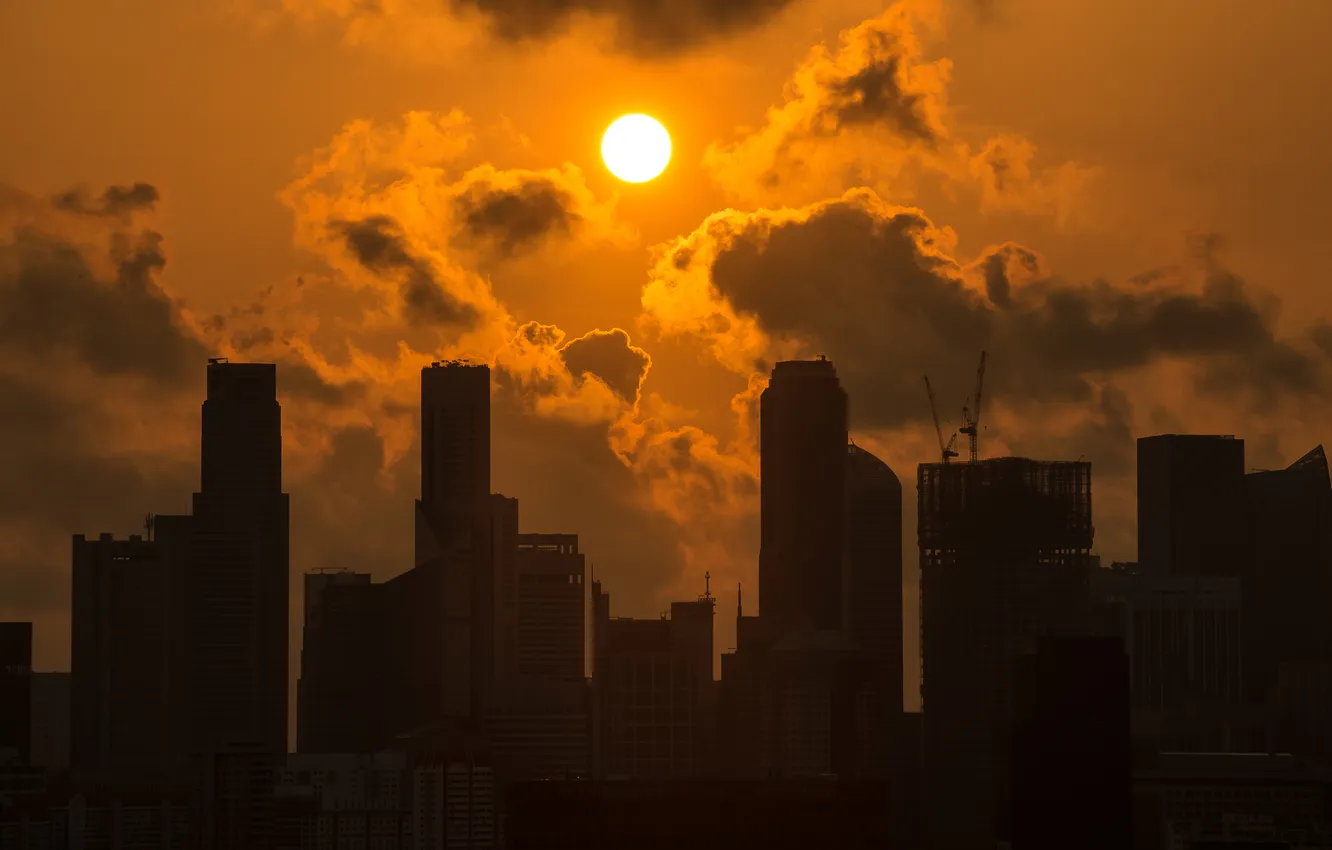 Photo wallpaper the sky, the sun, clouds, landscape, sunset, home, crane