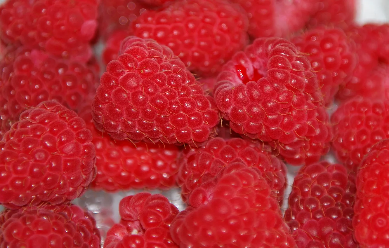 Photo wallpaper raspberry, berry, red, delicious