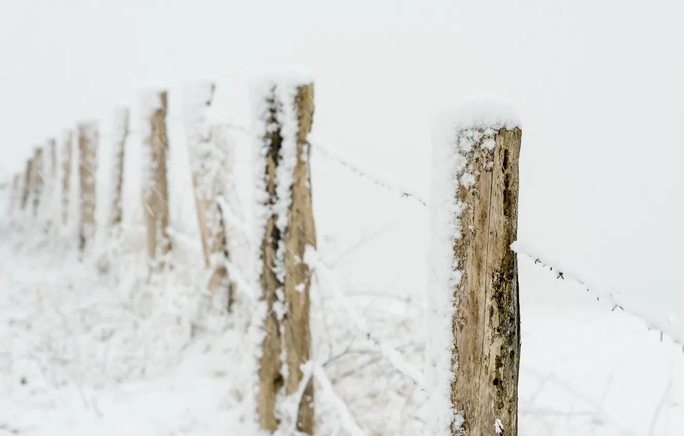 Photo wallpaper winter, snow, the fence