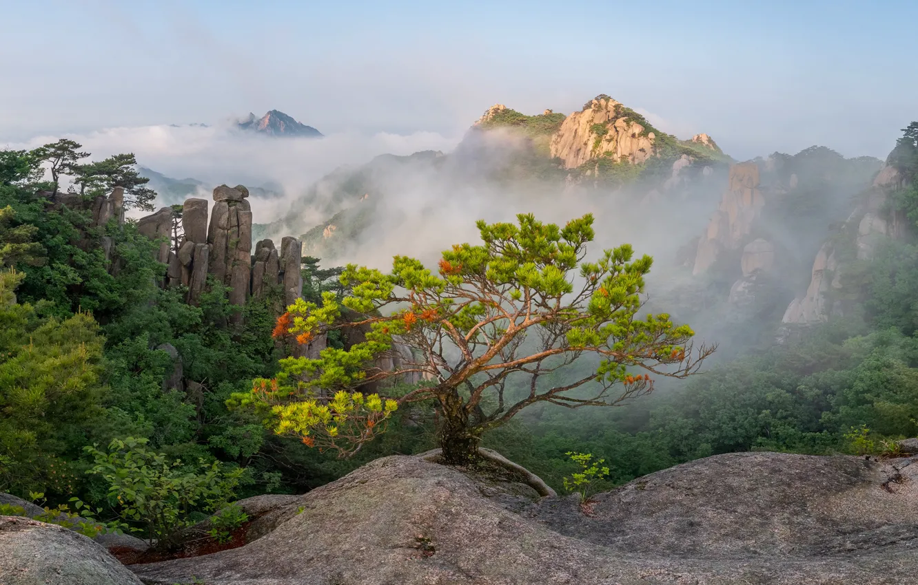 Photo wallpaper landscape, mountains, nature, fog, South Korea, reserve, jae youn Ryu, Dobongsan
