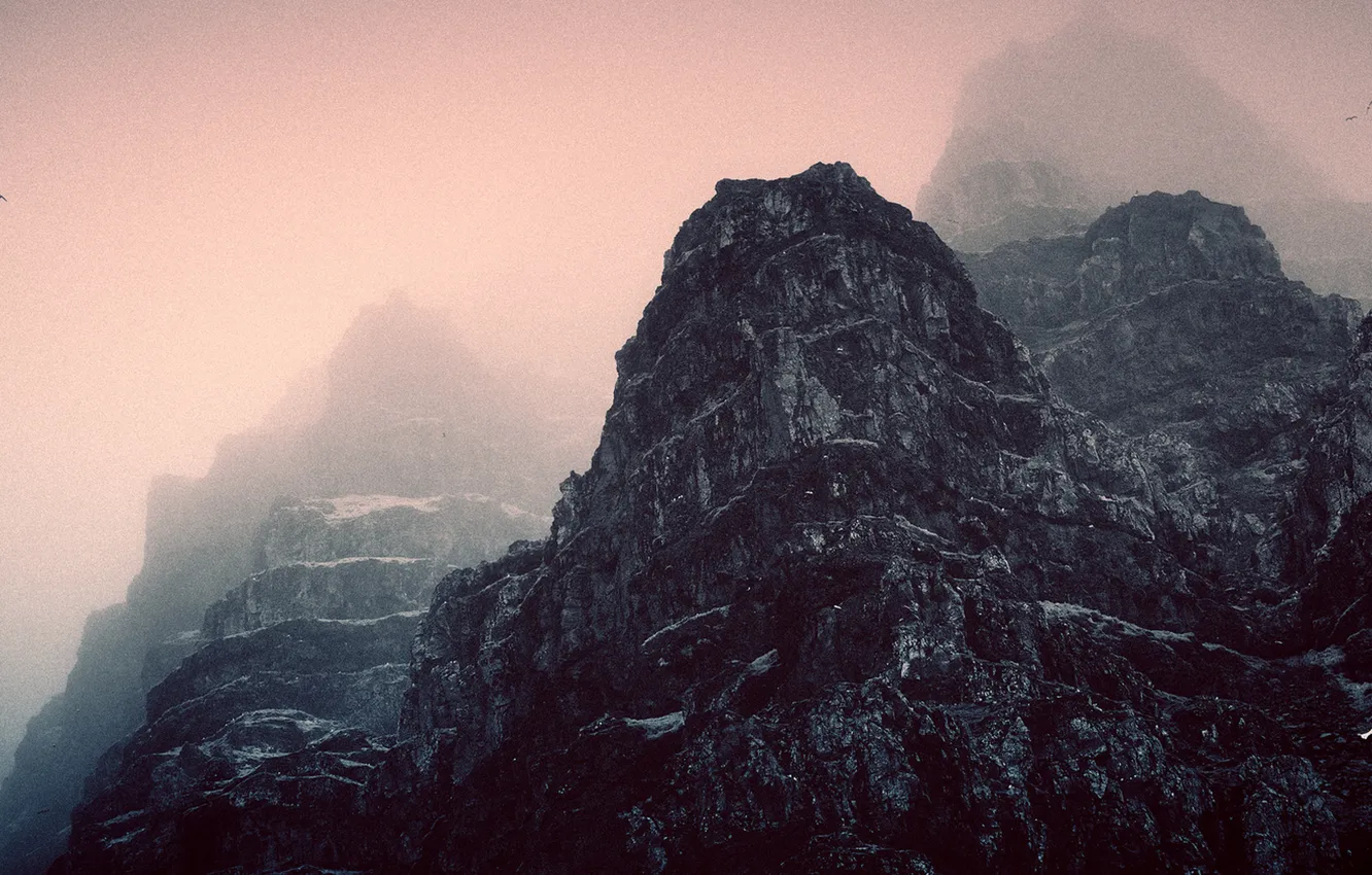 Photo wallpaper birds, fog, mist, peaks