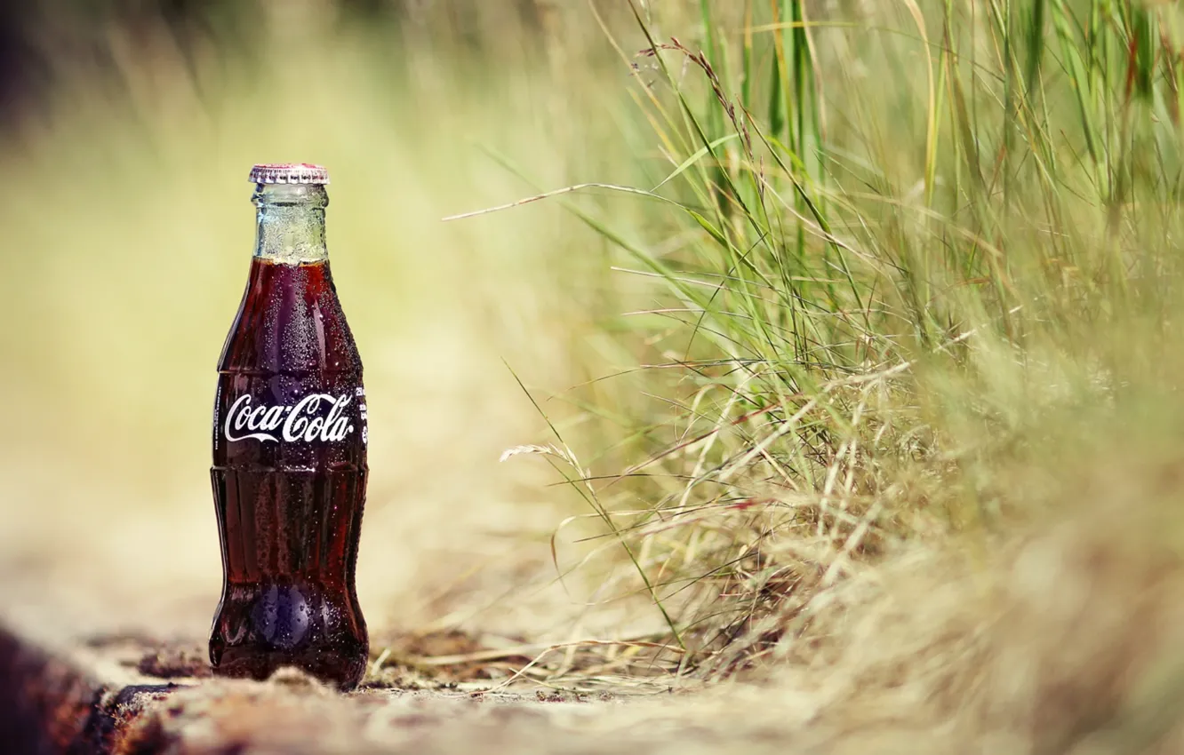 Photo wallpaper sand, grass, drops, background, Wallpaper, plant, bottle, drink