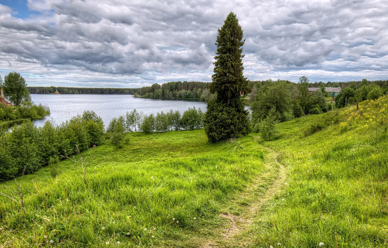 Photo wallpaper forest, summer, clouds, trees, river, trail