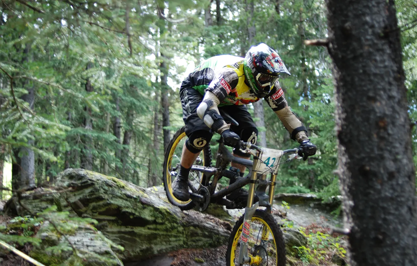 Photo wallpaper forest, bike, extreme, downhill, downhill