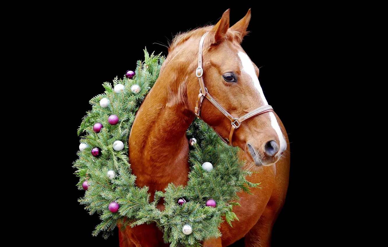 Photo wallpaper red, balls, portrait, horse, wreath, needles, black background, Christmas decorations