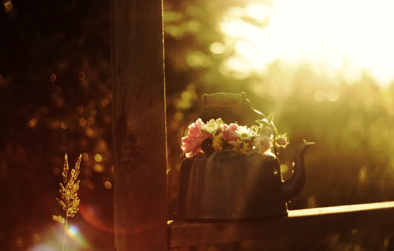 Photo wallpaper summer, the sun, rays, flowers, glare, mood, bouquet, morning