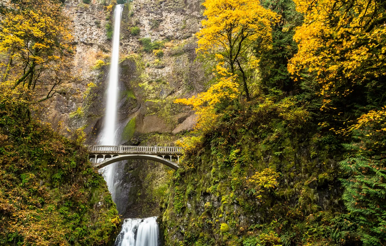Photo wallpaper autumn, forest, trees, bridge, river, waterfall, stream, USA