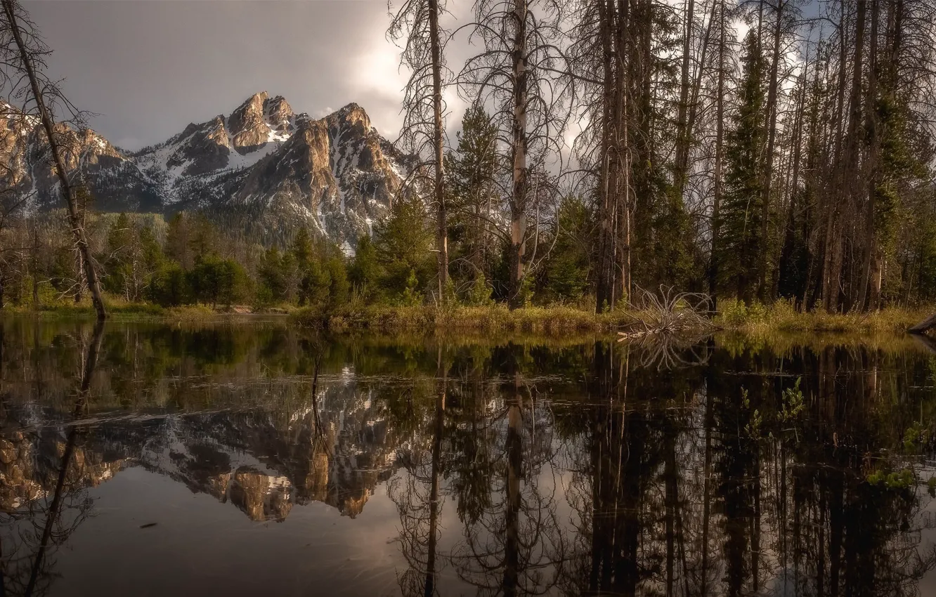 Photo wallpaper trees, landscape, mountains, nature, lake, reflection, beauty
