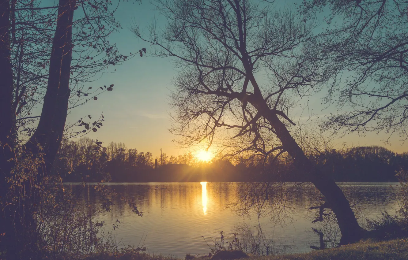 Photo wallpaper the sun, trees, sunset, branches, fog, shore, the evening, haze