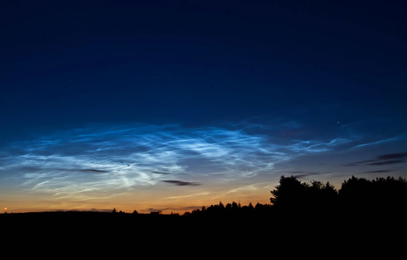 Photo wallpaper forest, the sky, clouds, trees, sunset