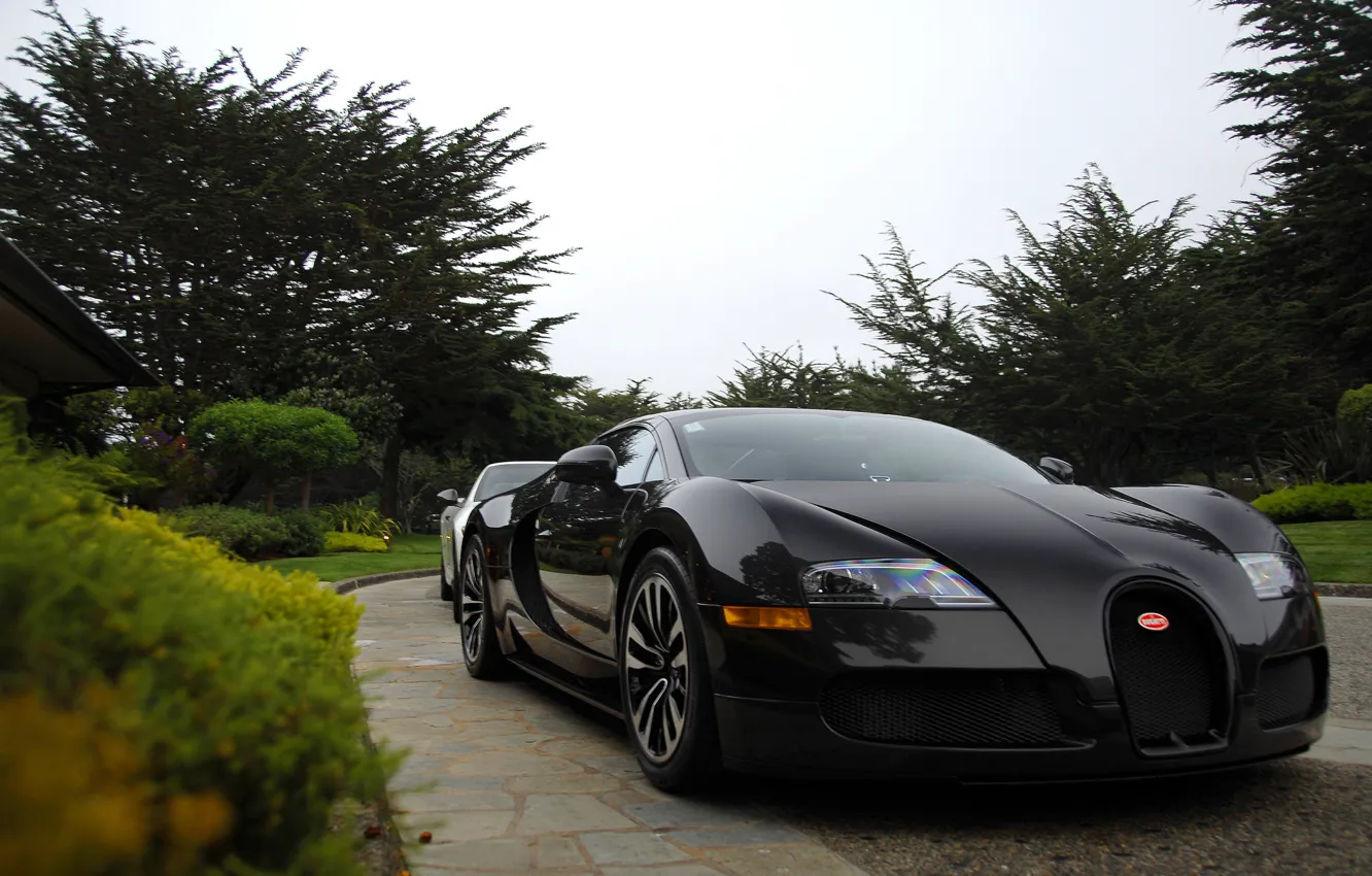 Photo wallpaper Park, Bugatti, Veyron