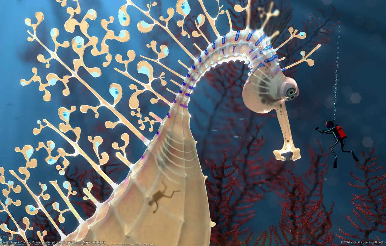 Photo wallpaper the diver, Giant, seahorse