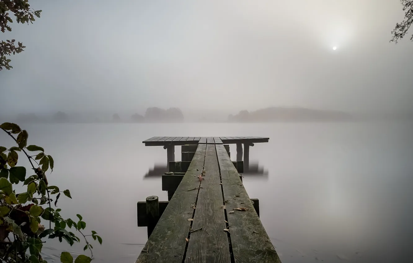 Photo wallpaper night, bridge, fog, lake