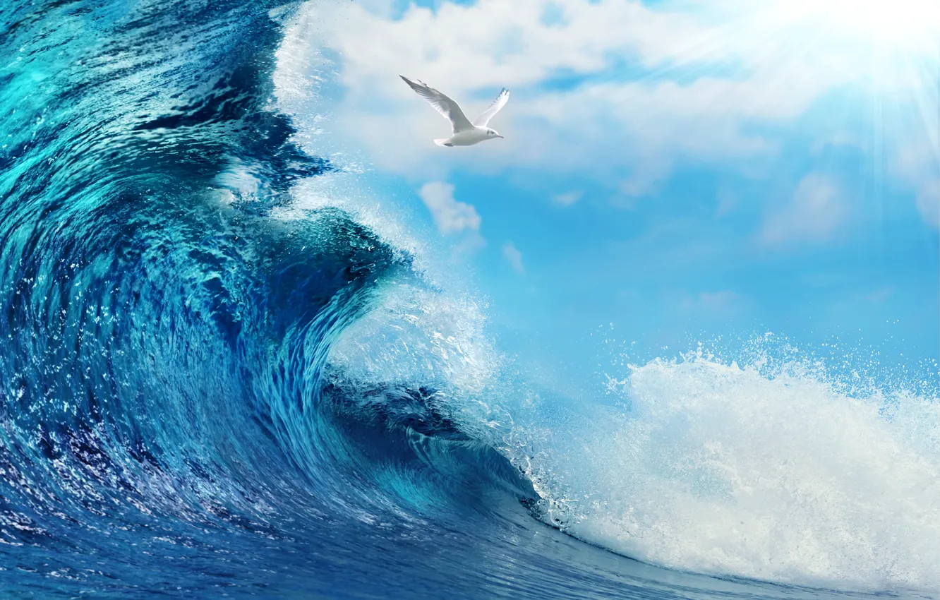 Photo wallpaper sea, water, the ocean, wave, sky, sea, ocean, blue