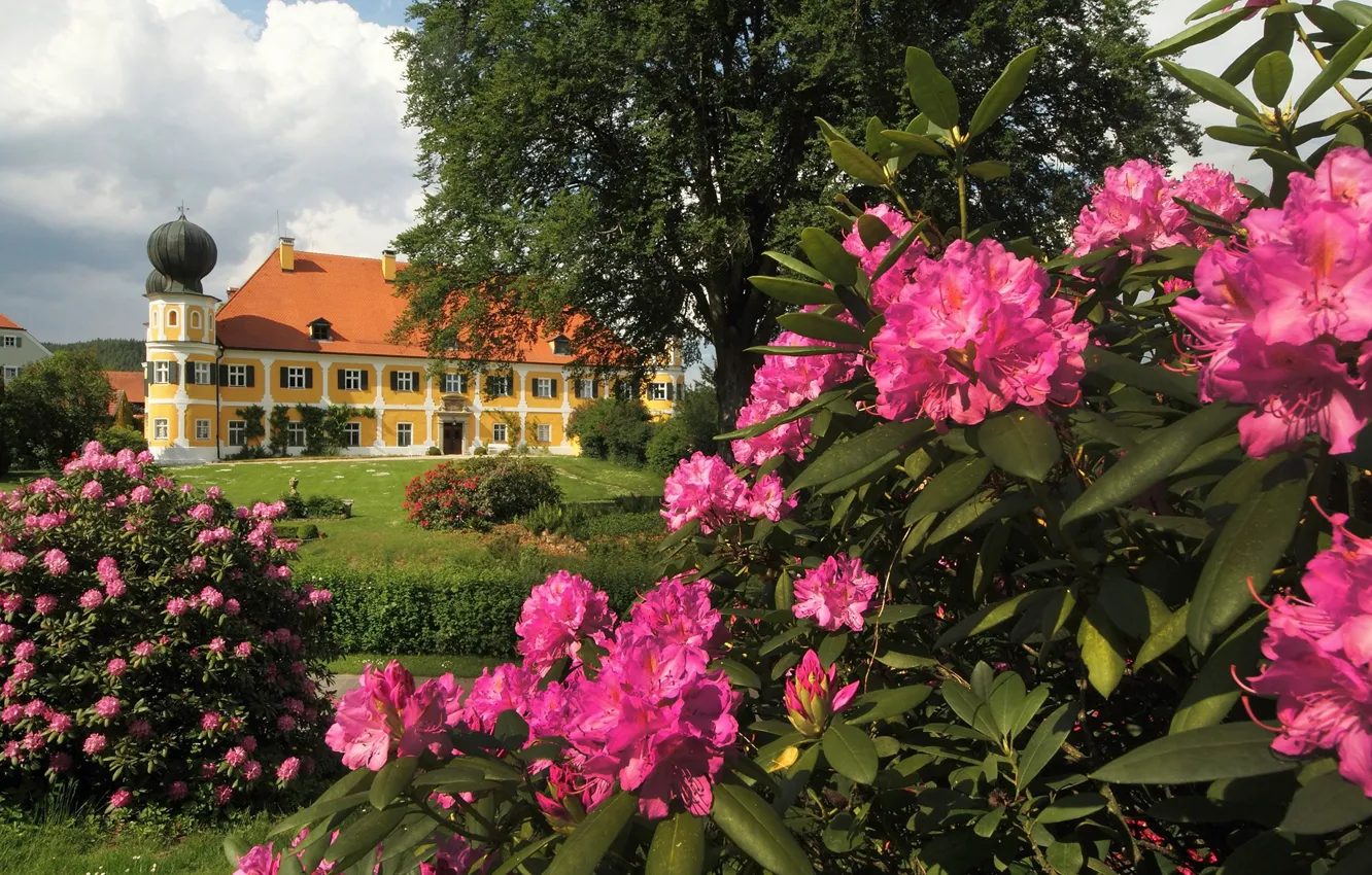Photo wallpaper trees, flowers, Park, mansion