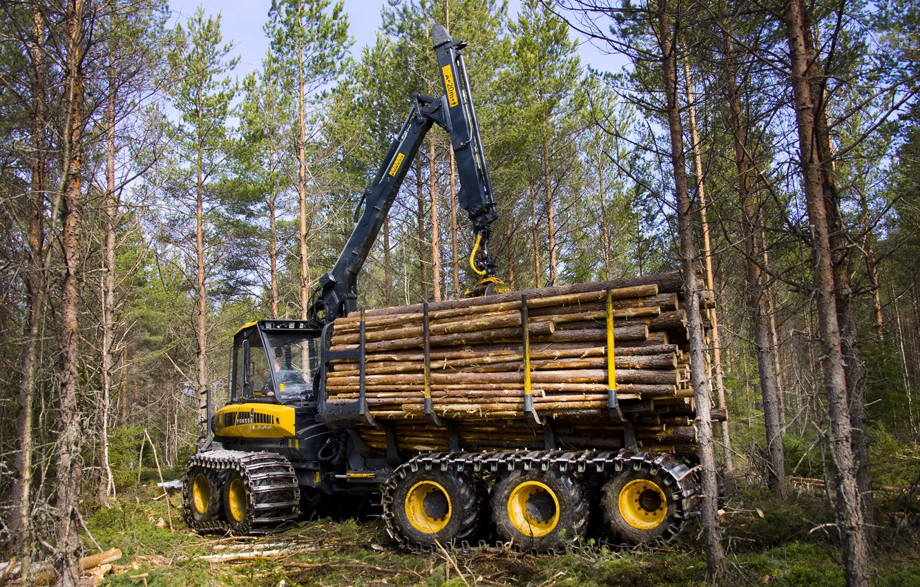 Photo wallpaper forest, trees, arrow, cabin, wheel, logs, the truck, manipulator