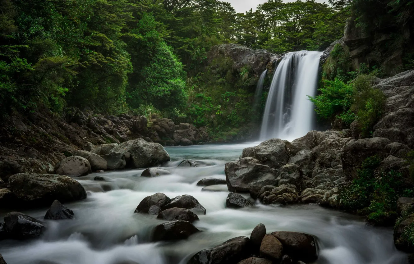 Photo wallpaper forest, trees, nature, stones, waterfall
