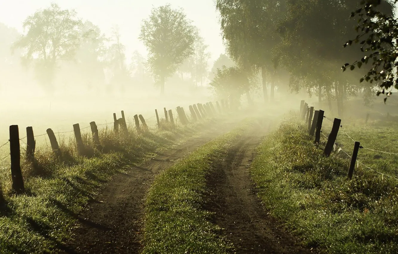 Photo wallpaper road, grass, trees, nature, fog, dawn, the fence, fence