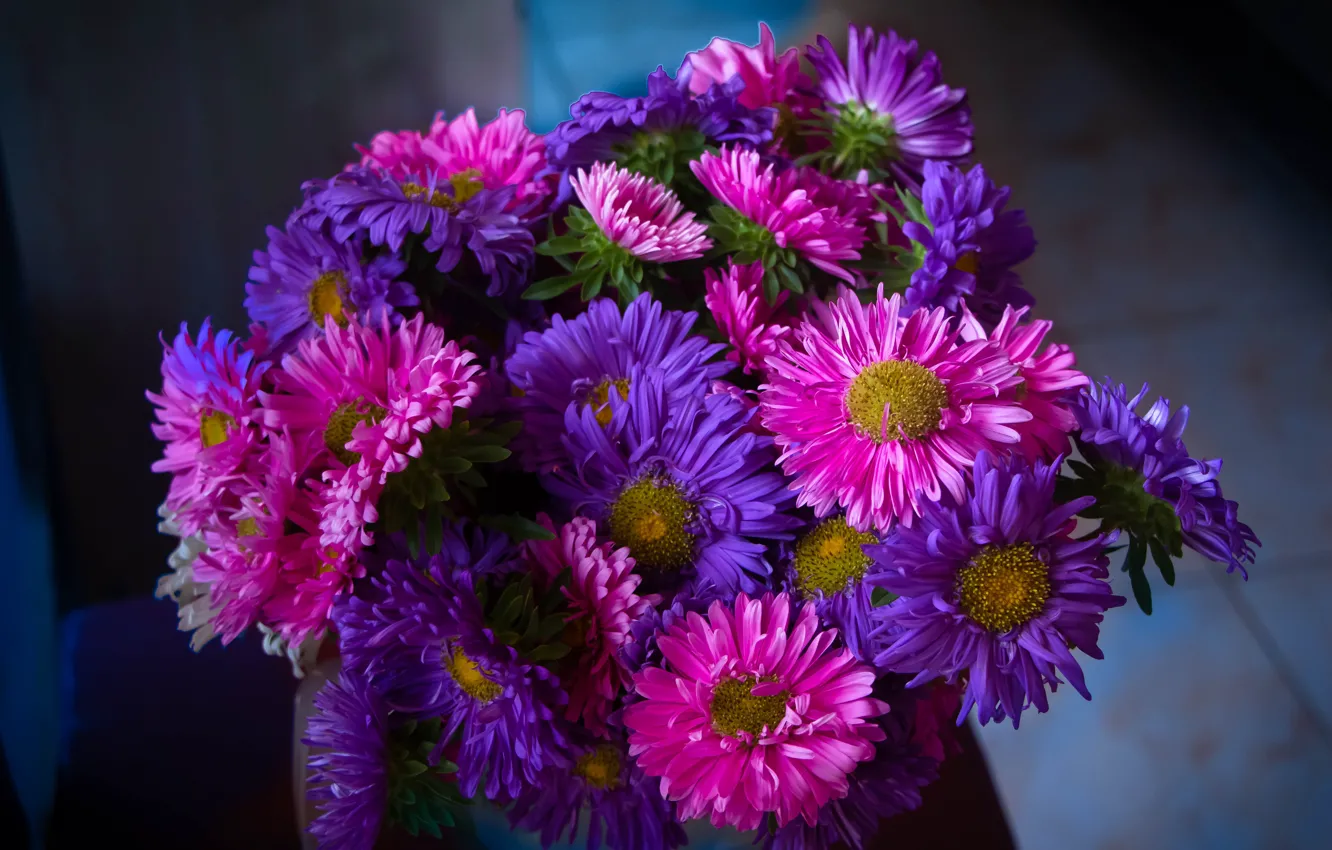 Photo wallpaper flowers, the dark background, bouquet, pink, lilac, asters