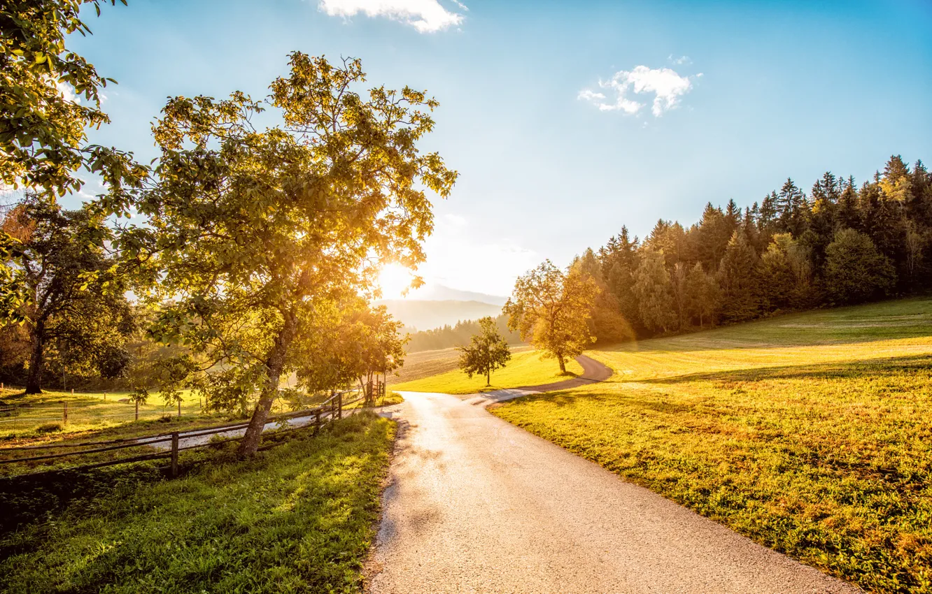 Photo wallpaper road, autumn, forest, the sky, grass, the sun, trees, sunset