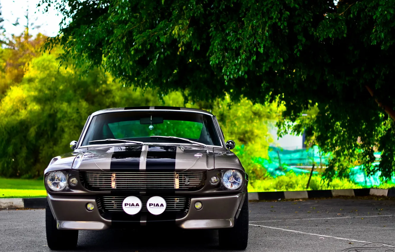 Photo wallpaper Ford, Shelby, GT500, Eleanor, Classic, American, Exotic