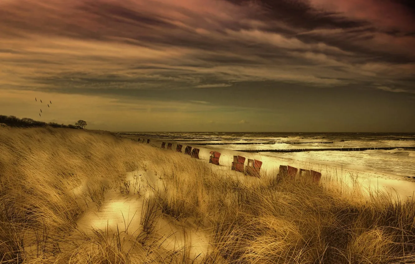 Photo wallpaper sea, night, rlag