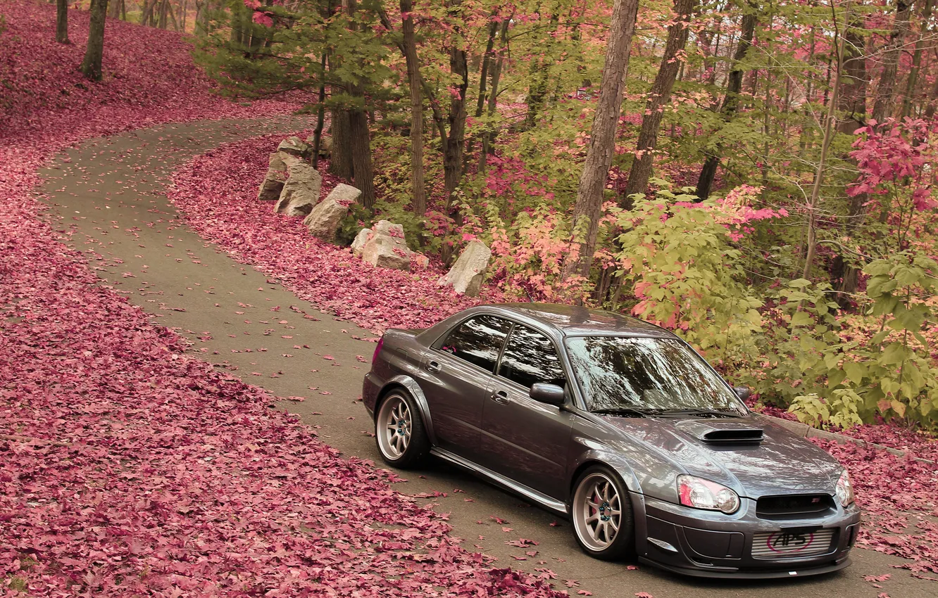 Photo wallpaper road, leaves, trees, Subaru, Impreza, WRX, STI, Front