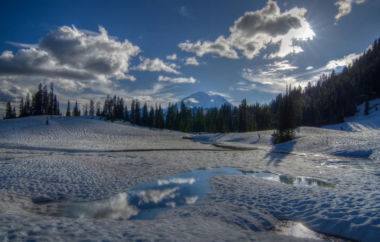 Photo wallpaper winter, forest, snow, trees, mountain, Washington, Mount Rainier National Park, Tipsoo Lake