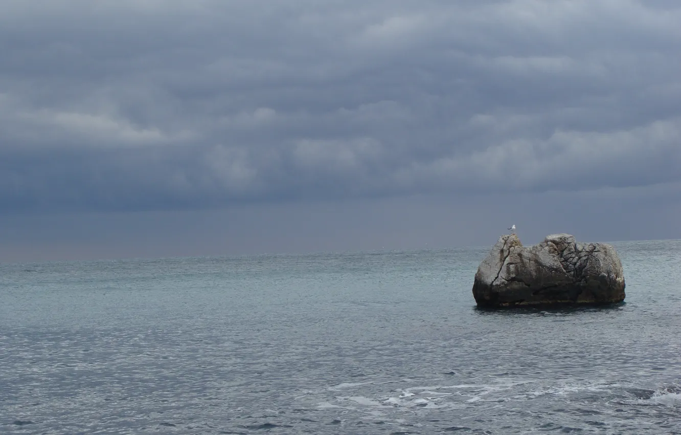 Photo wallpaper sea, storm, stones, seagulls