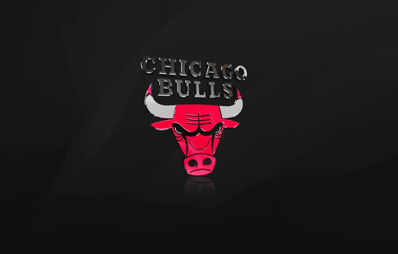 Photo wallpaper black, logo, Chicago, Basketball, NBA, Chicago Bulls, bull