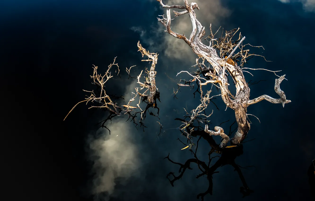 Photo wallpaper United States, California, Joshua Tree National Park, cloudy reflection