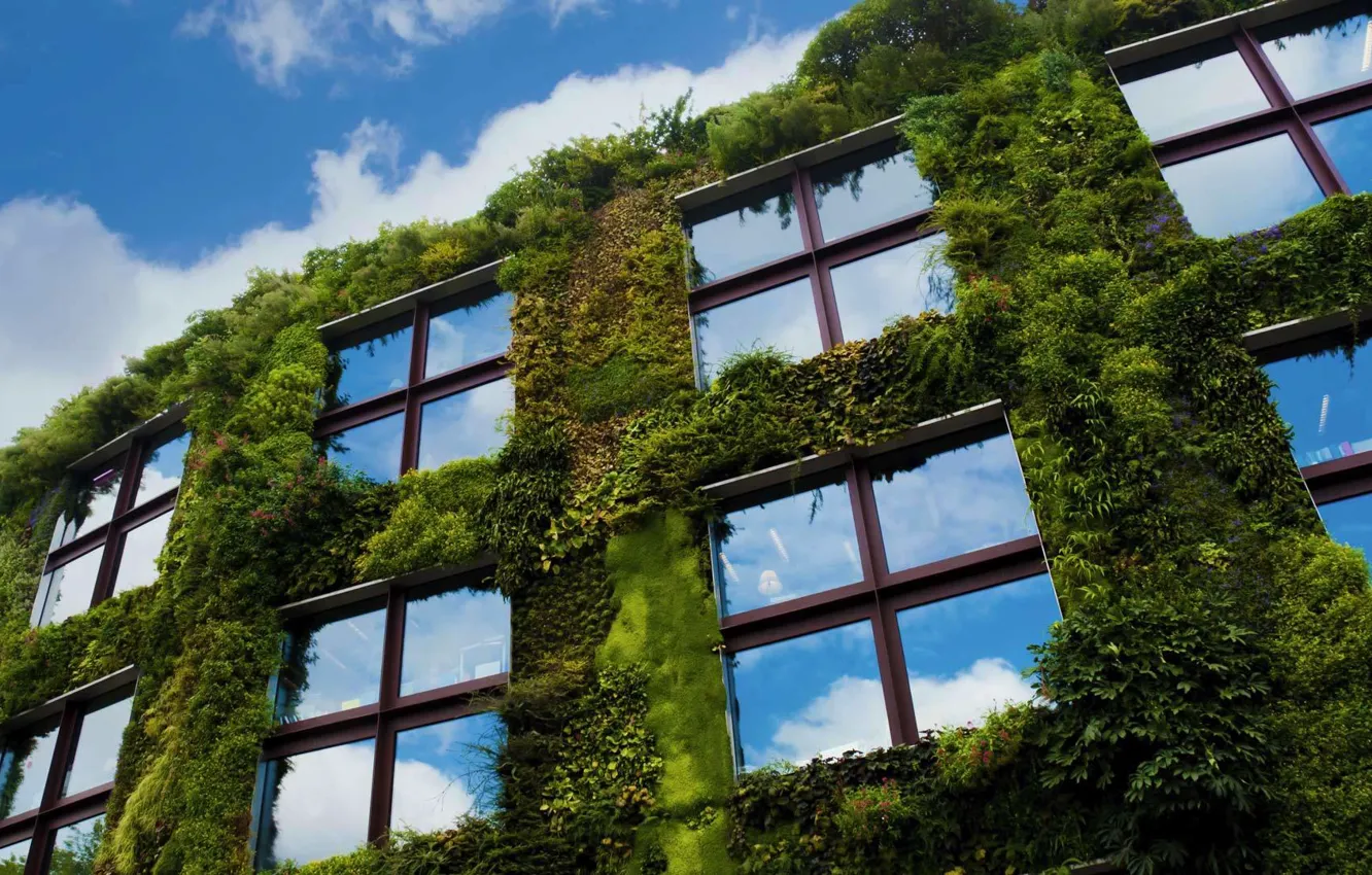 Photo wallpaper the sky, France, Paris, window, Museum, embankment Branly