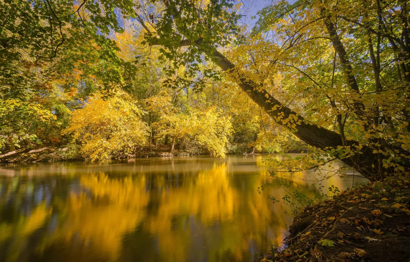Photo wallpaper autumn, lake, river, yellow leaves