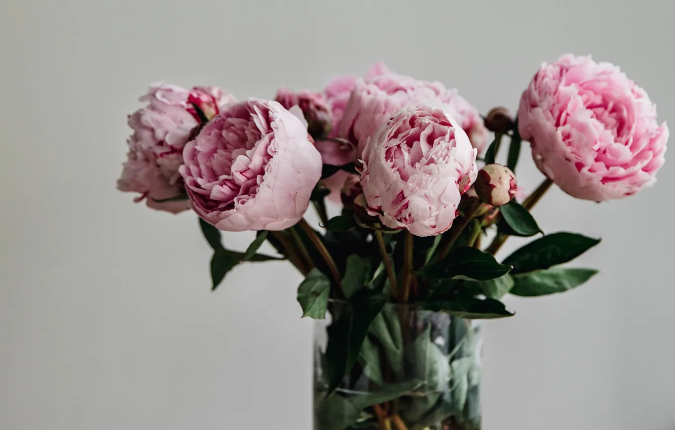 Photo wallpaper flowers, bouquet, vase, pink, peonies, in a vase