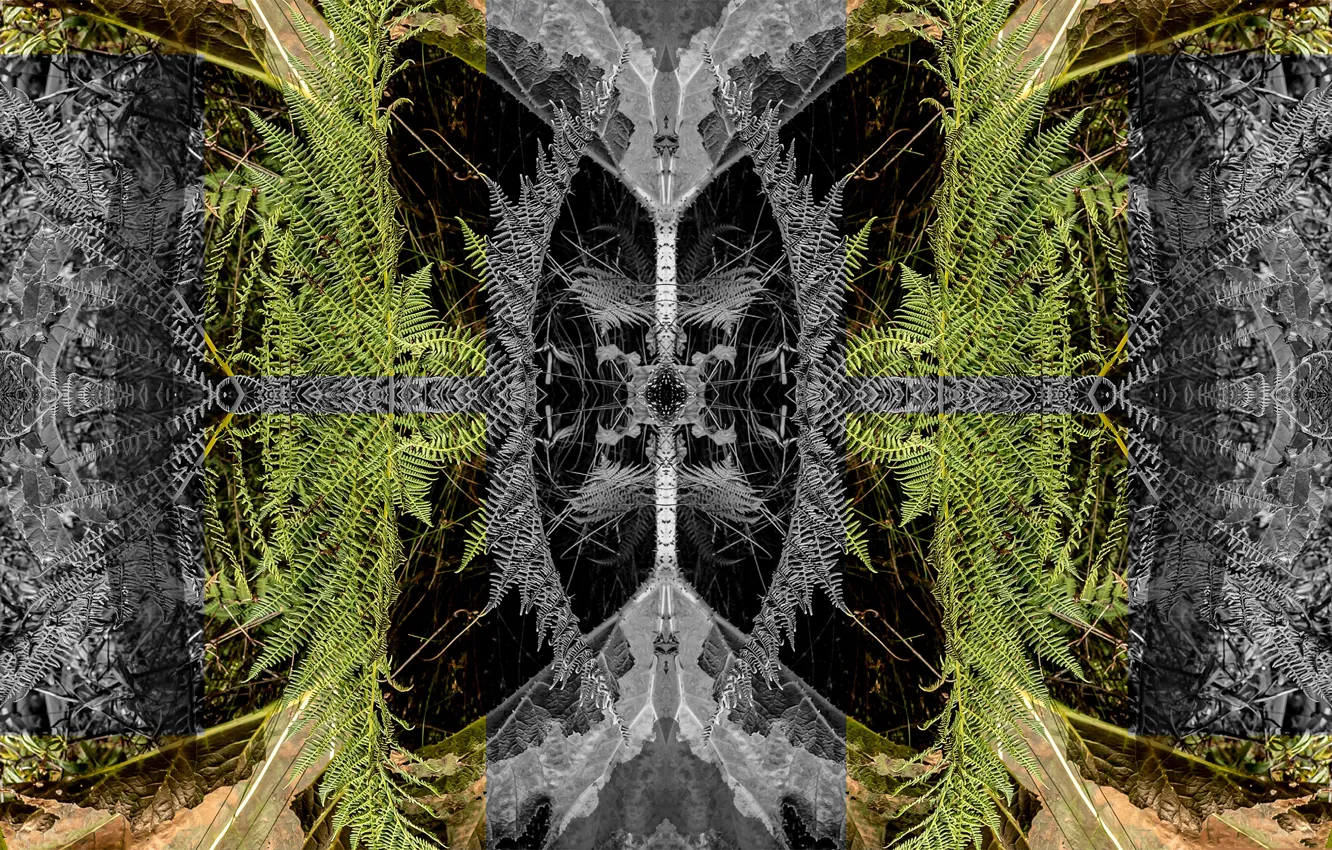 Photo wallpaper reflection, chaos, symmetry, user