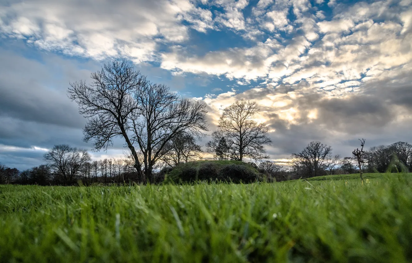 Photo wallpaper field, the sky, grass, clouds, trees, England, Herefordshire, Almeley
