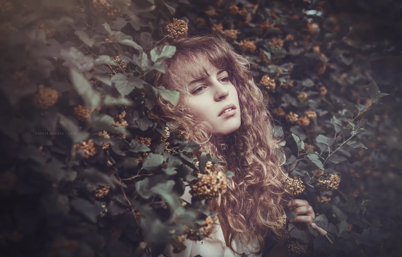 Photo wallpaper girl, background, Karina Bratkowska