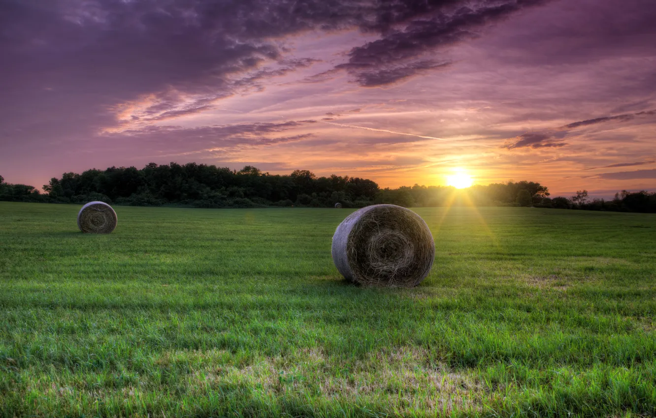 Photo wallpaper field, grass, the sun, sunset, hay