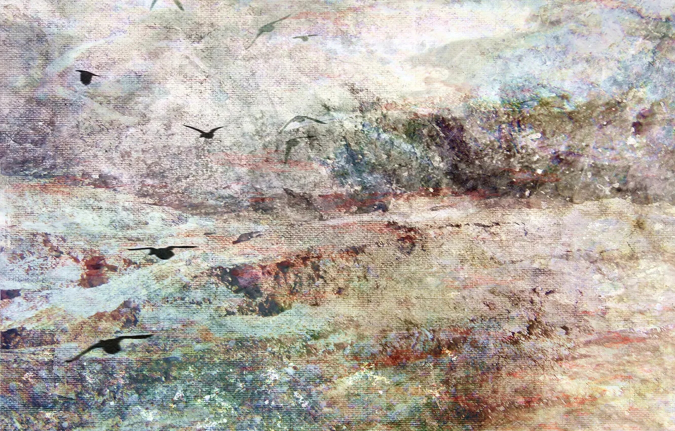 Photo wallpaper sea, birds, morning, Morning, Bernadette Tuffs
