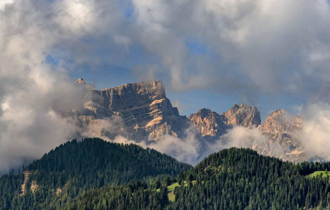 Photo wallpaper forest, the sky, clouds, light, mountains, fog, rocks, tops