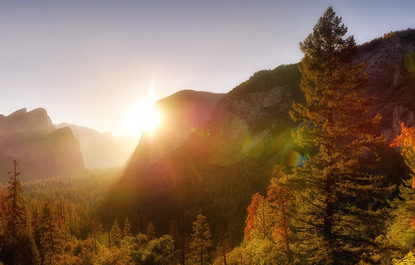Photo wallpaper autumn, forest, the sky, the sun, rays, light, trees, mountains