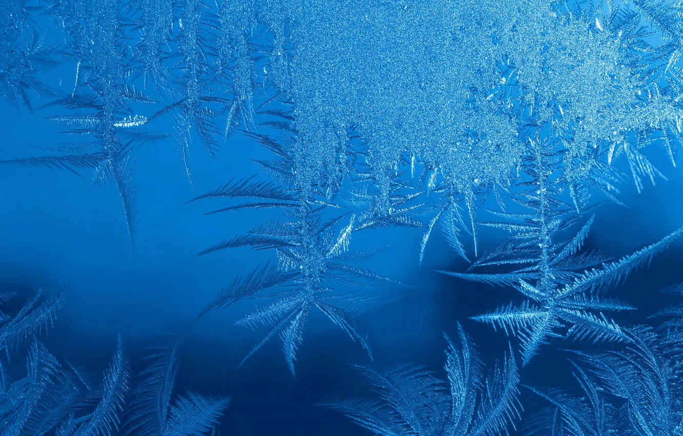 Photo wallpaper cold, winter, frost, glass, snow, snowflakes, pattern, ice