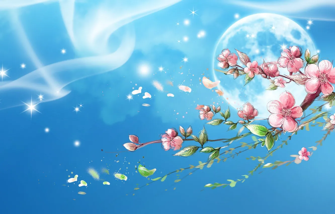 Photo wallpaper stars, branches, the moon, Sakura